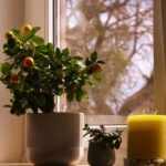 Simple Routines to Start and End Your Workday Effectively